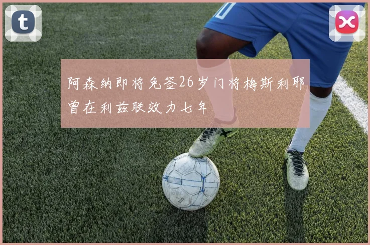 阿森纳即将免签26岁门将梅斯利耶曾在利兹联效力七年