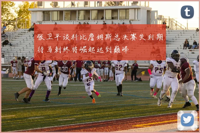 张卫平谈科比詹姆斯总决赛失利期待马刺终将崛起达到巅峰